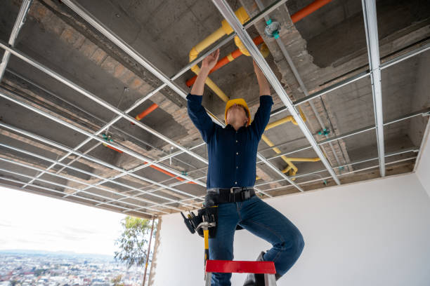 Best Plumbing Inspection Services  in Marienville, PA